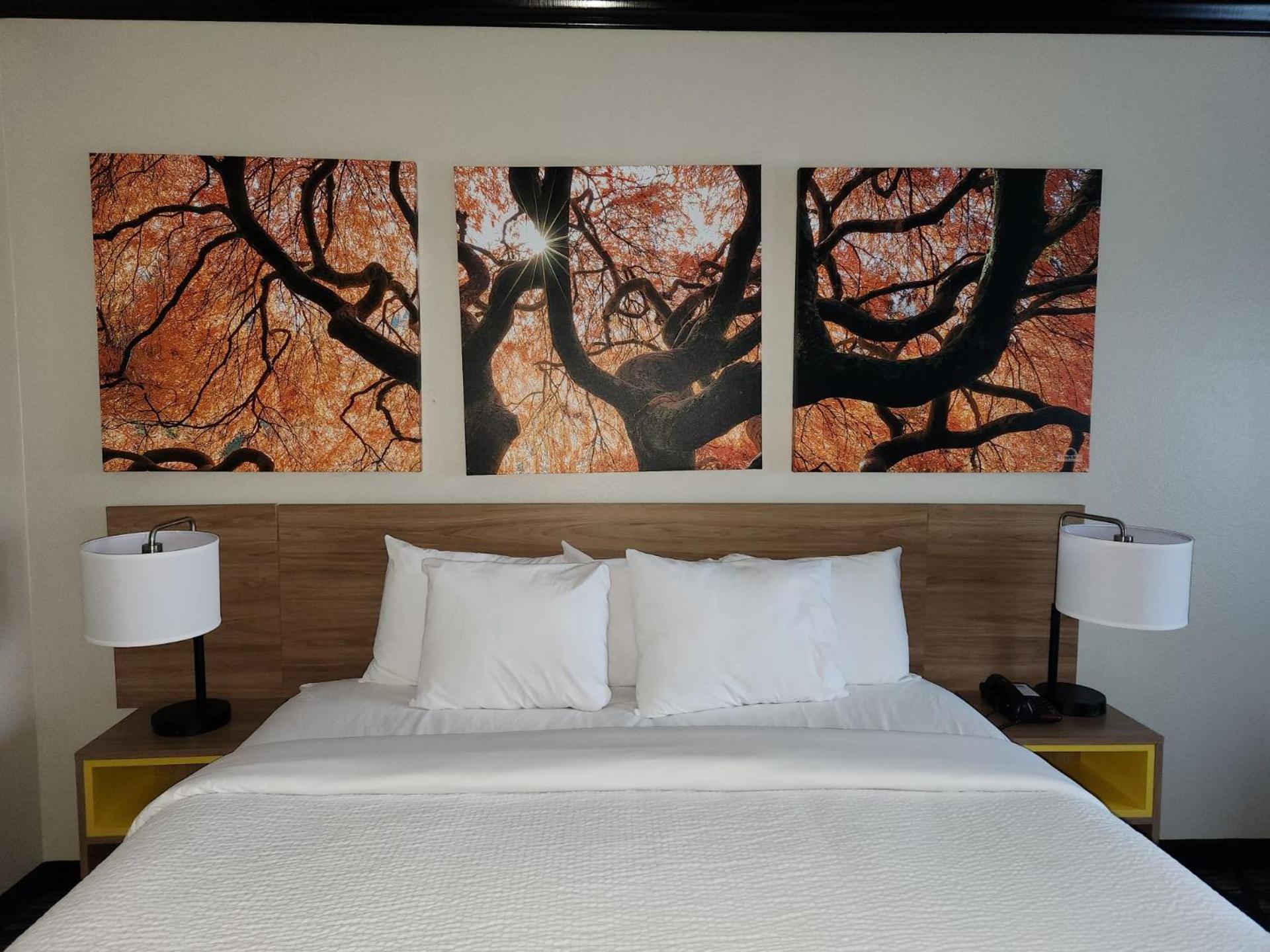 Days Inn By Wyndham Baton Rouge I-10 Prairieville Exteriör bild