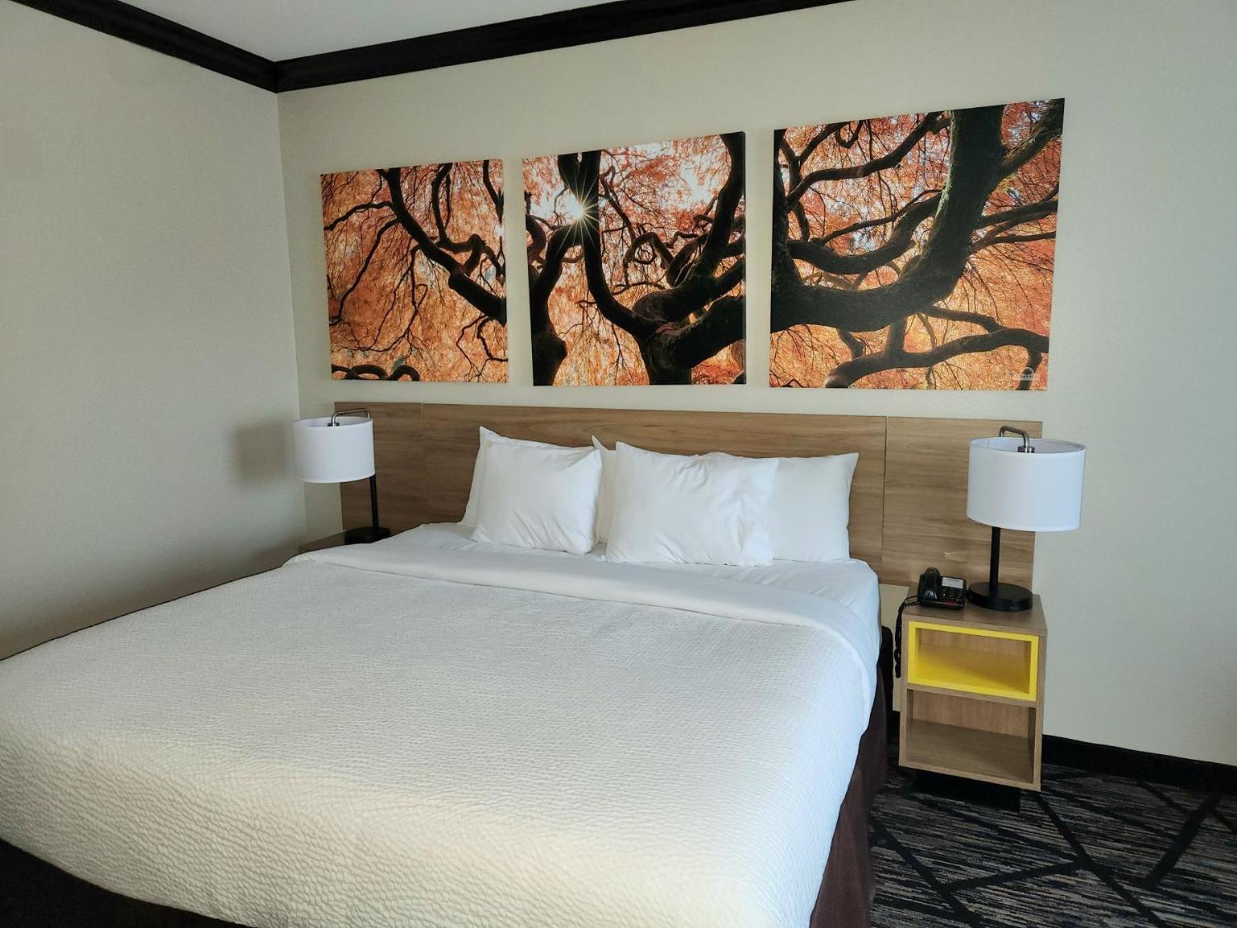 Days Inn By Wyndham Baton Rouge I-10 Prairieville Exteriör bild